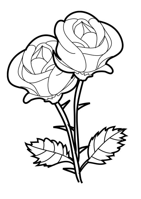 free printable coloring pages of roses